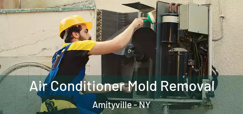  Air Conditioner Mold Removal Amityville - NY