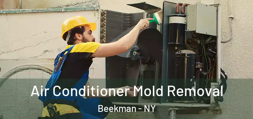  Air Conditioner Mold Removal Beekman - NY