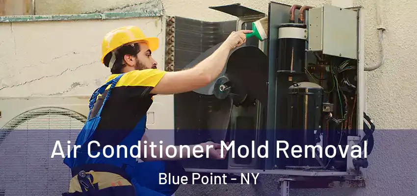  Air Conditioner Mold Removal Blue Point - NY