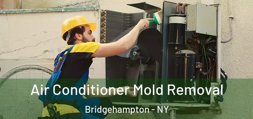  Air Conditioner Mold Removal Bridgehampton - NY