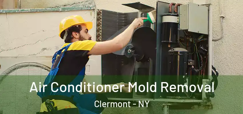  Air Conditioner Mold Removal Clermont - NY