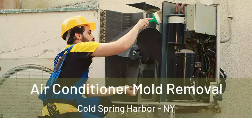  Air Conditioner Mold Removal Cold Spring Harbor - NY