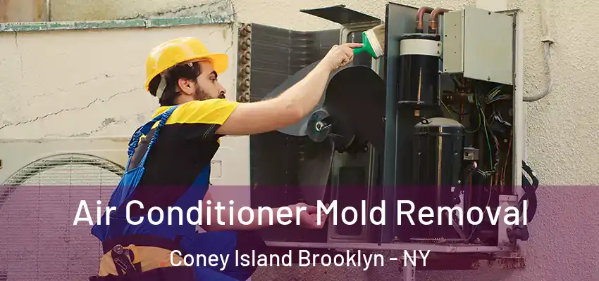 Air Conditioner Mold Removal Coney Island Brooklyn - NY