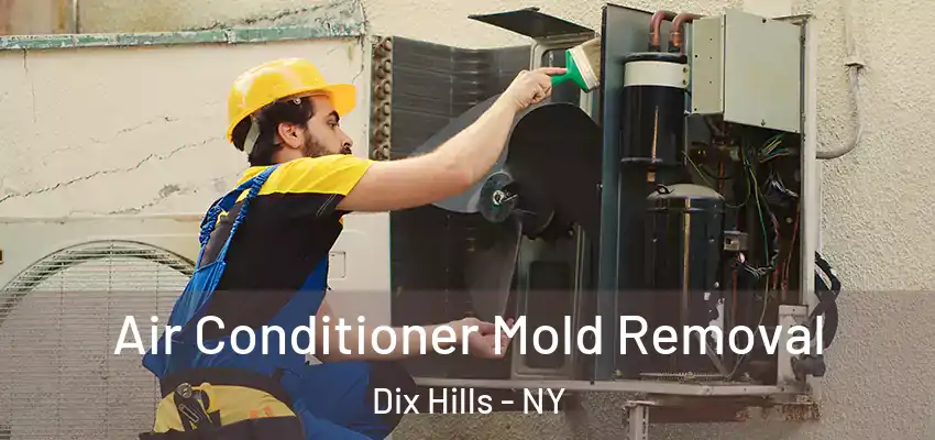  Air Conditioner Mold Removal Dix Hills - NY