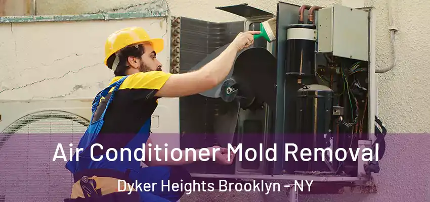  Air Conditioner Mold Removal Dyker Heights Brooklyn - NY