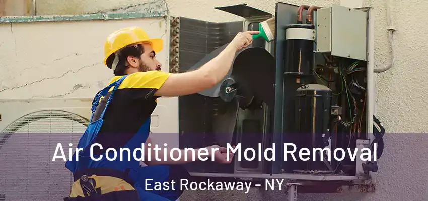  Air Conditioner Mold Removal East Rockaway - NY
