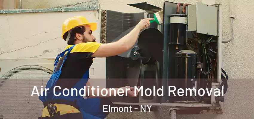  Air Conditioner Mold Removal Elmont - NY