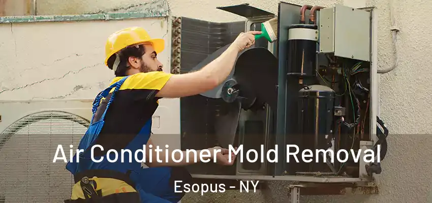 Air Conditioner Mold Removal Esopus - NY