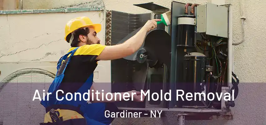  Air Conditioner Mold Removal Gardiner - NY
