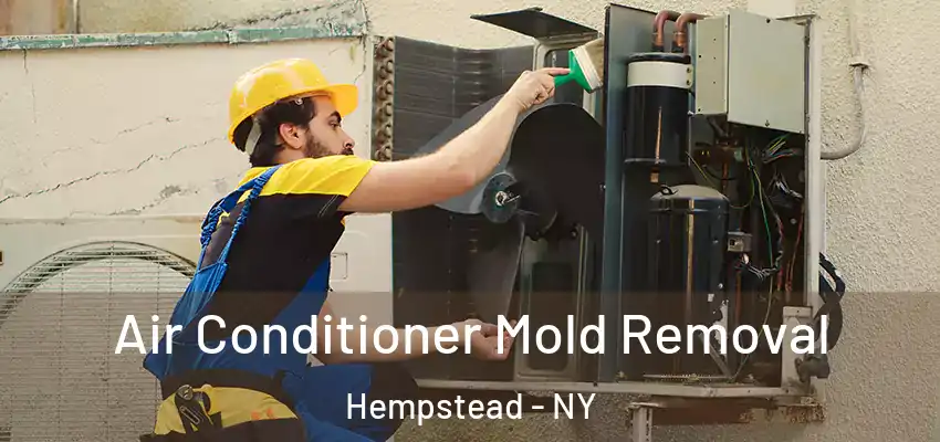 Air Conditioner Mold Removal Hempstead - NY
