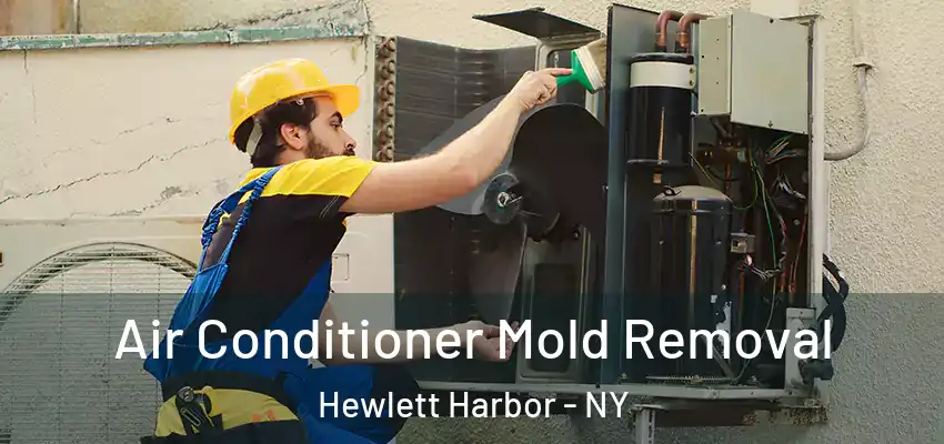  Air Conditioner Mold Removal Hewlett Harbor - NY