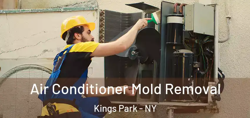  Air Conditioner Mold Removal Kings Park - NY