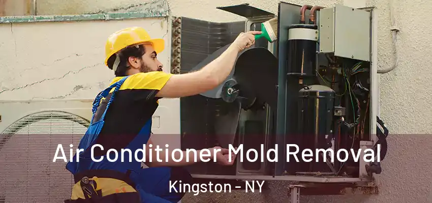 Air Conditioner Mold Removal Kingston - NY
