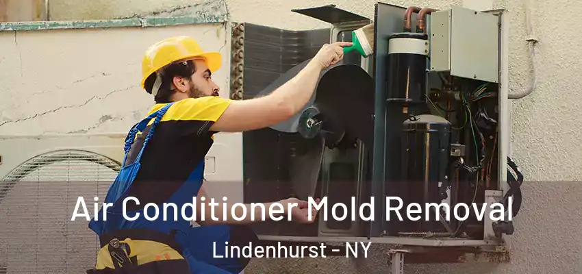  Air Conditioner Mold Removal Lindenhurst - NY