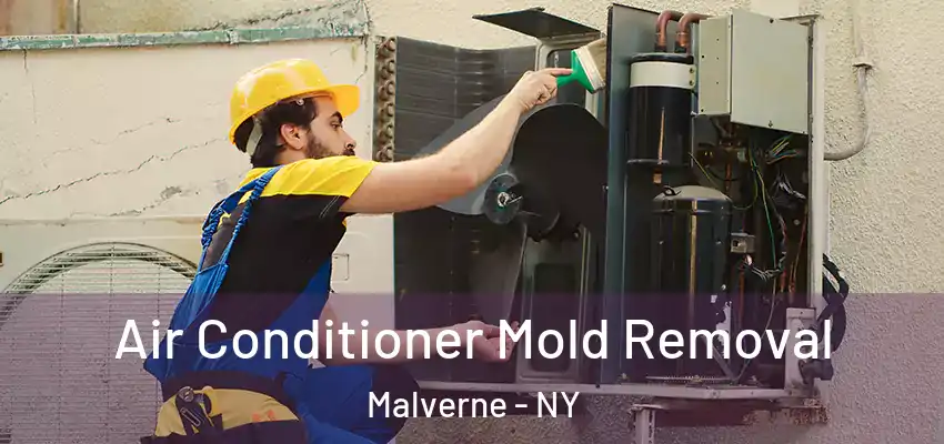 Air Conditioner Mold Removal Malverne - NY