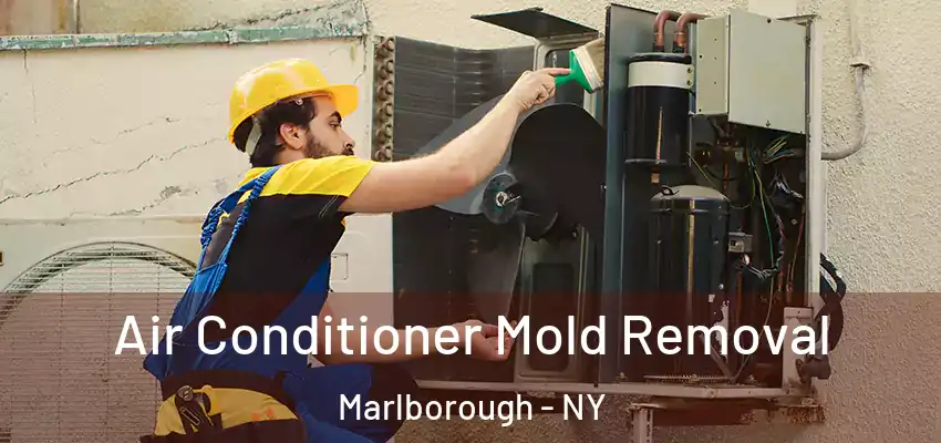  Air Conditioner Mold Removal Marlborough - NY