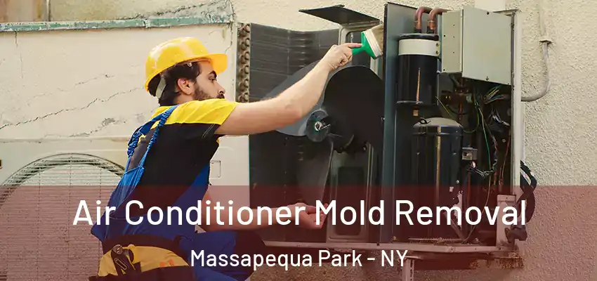  Air Conditioner Mold Removal Massapequa Park - NY