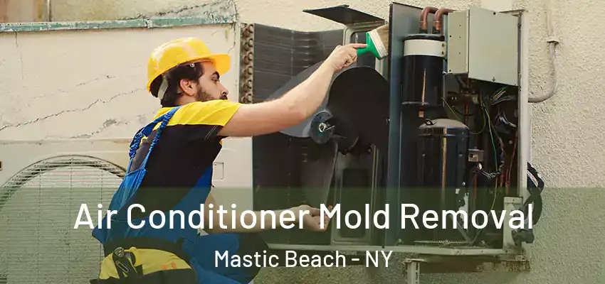  Air Conditioner Mold Removal Mastic Beach - NY
