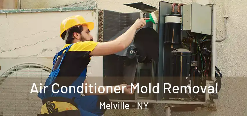  Air Conditioner Mold Removal Melville - NY