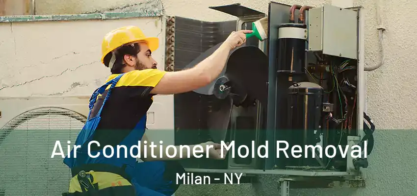 Air Conditioner Mold Removal Milan - NY