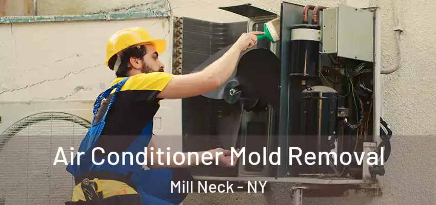 Air Conditioner Mold Removal Mill Neck - NY