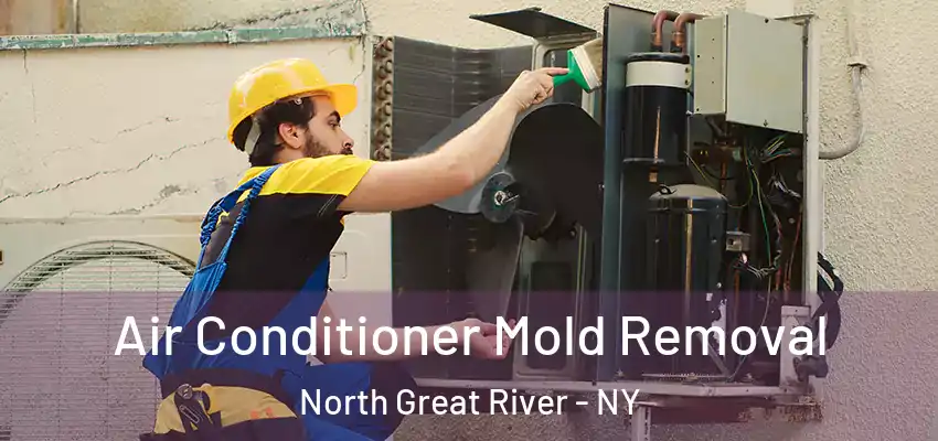  Air Conditioner Mold Removal North Great River - NY