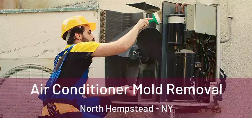  Air Conditioner Mold Removal North Hempstead - NY