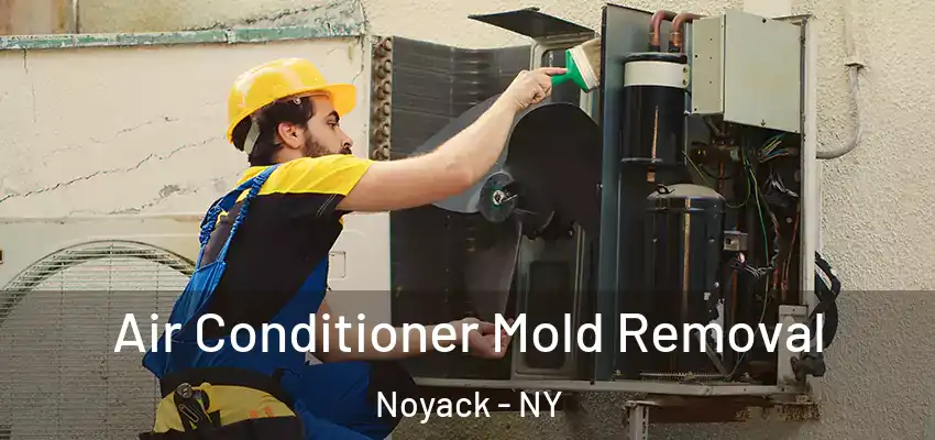  Air Conditioner Mold Removal Noyack - NY