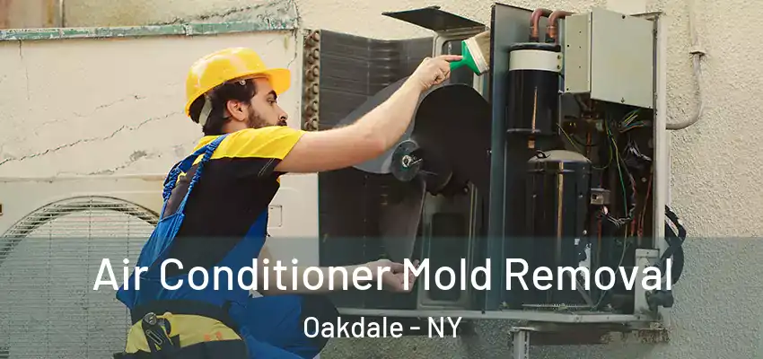  Air Conditioner Mold Removal Oakdale - NY