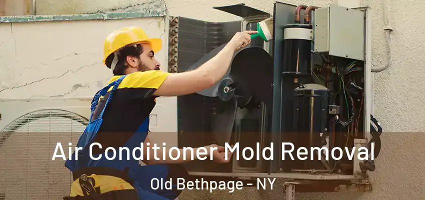  Air Conditioner Mold Removal Old Bethpage - NY
