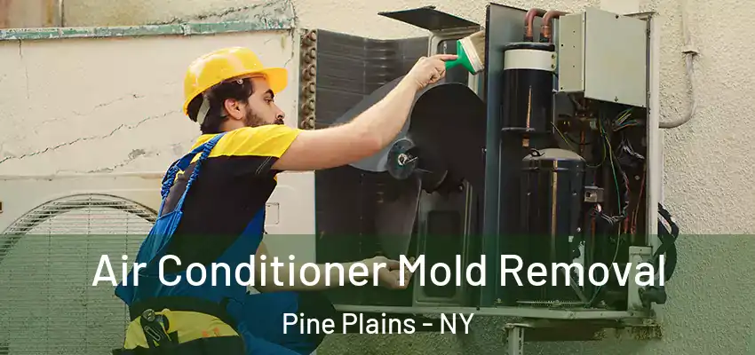 Air Conditioner Mold Removal Pine Plains - NY