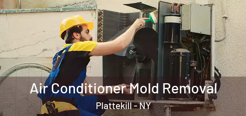 Air Conditioner Mold Removal Plattekill - NY