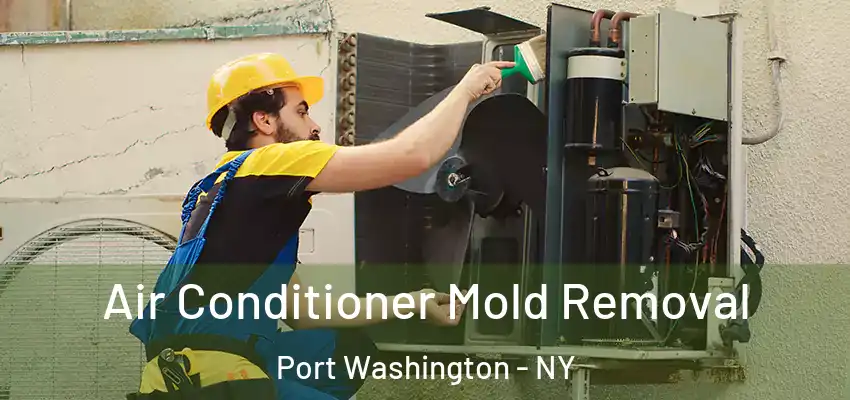  Air Conditioner Mold Removal Port Washington - NY