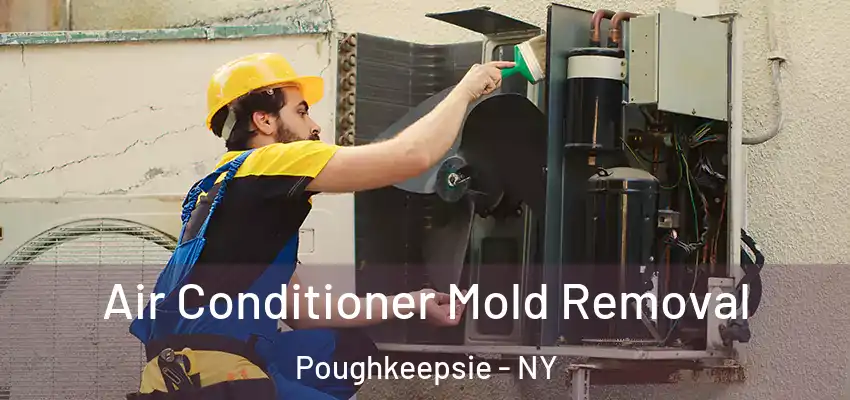 Air Conditioner Mold Removal Poughkeepsie - NY
