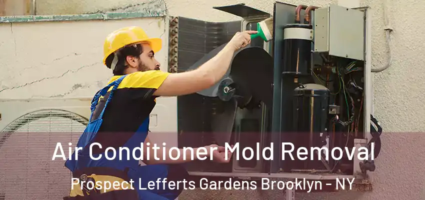 Air Conditioner Mold Removal Prospect Lefferts Gardens Brooklyn - NY