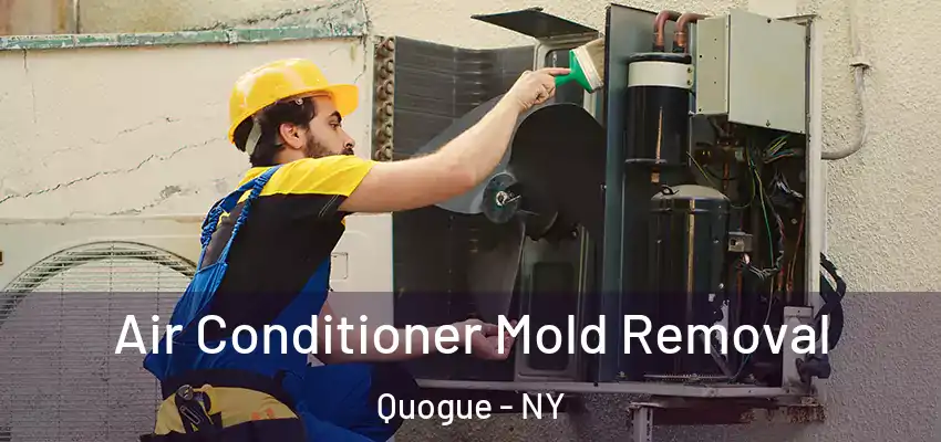  Air Conditioner Mold Removal Quogue - NY