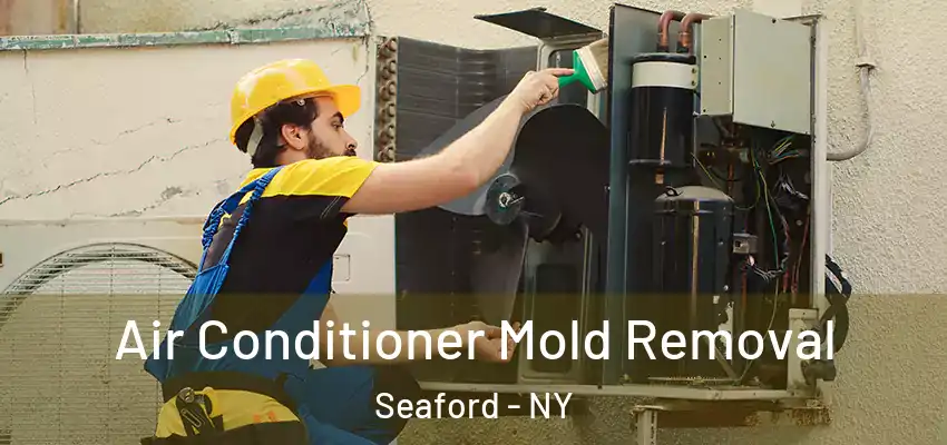  Air Conditioner Mold Removal Seaford - NY