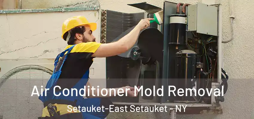 Air Conditioner Mold Removal Setauket-East Setauket - NY
