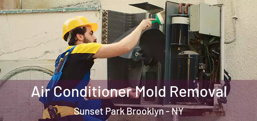  Air Conditioner Mold Removal Sunset Park Brooklyn - NY