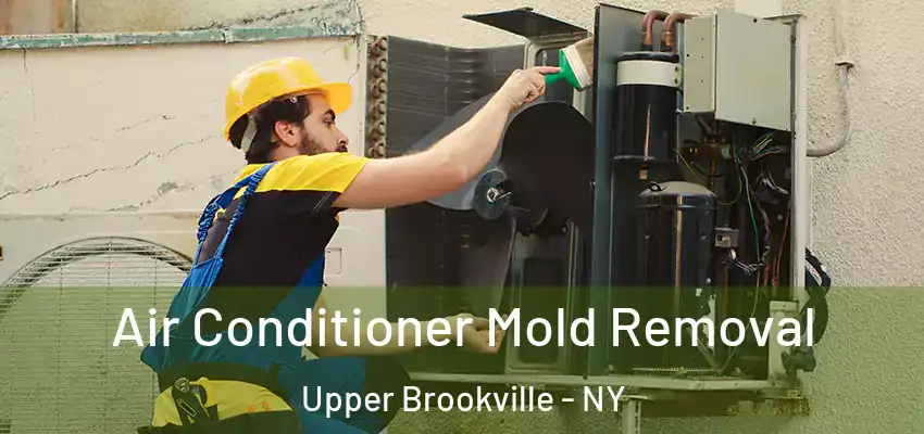  Air Conditioner Mold Removal Upper Brookville - NY