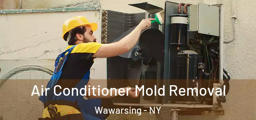 Air Conditioner Mold Removal Wawarsing - NY