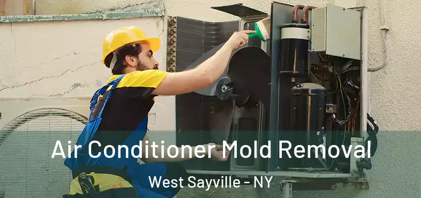 Air Conditioner Mold Removal West Sayville - NY