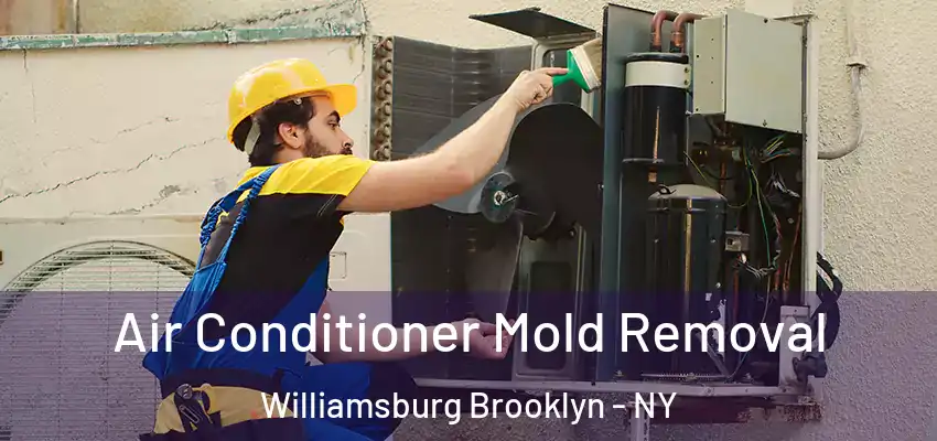  Air Conditioner Mold Removal Williamsburg Brooklyn - NY