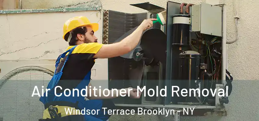 Air Conditioner Mold Removal Windsor Terrace Brooklyn - NY