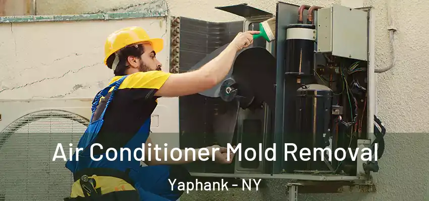 Air Conditioner Mold Removal Yaphank - NY