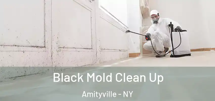  Black Mold Clean Up Amityville - NY