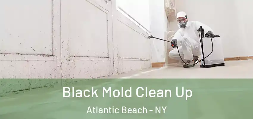 Black Mold Clean Up Atlantic Beach - NY