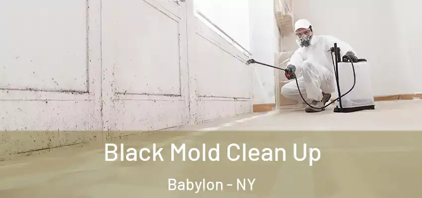 Black Mold Clean Up Babylon - NY