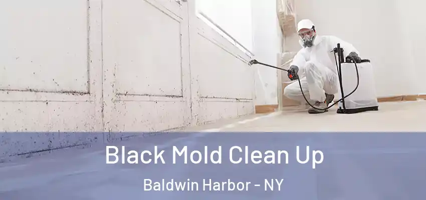  Black Mold Clean Up Baldwin Harbor - NY