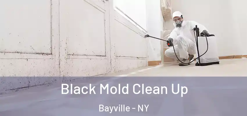  Black Mold Clean Up Bayville - NY